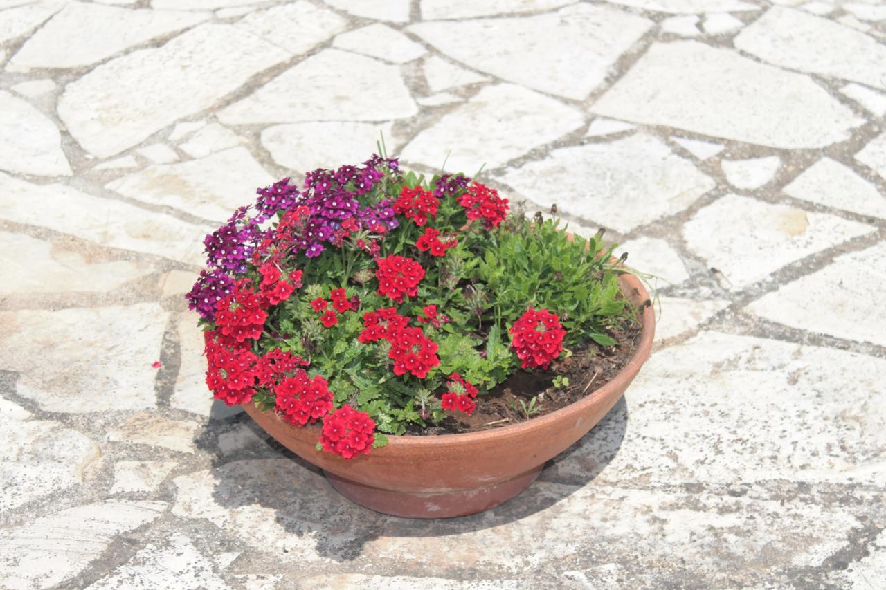 Tenuta Turchi Otranto Zewnętrze zdjęcie